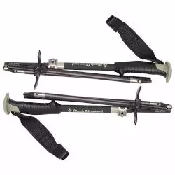 Freeride ski poles Black Diamond Compactor